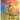 Rusty's Cowboy: A Rusty the Ranch Horse Tale