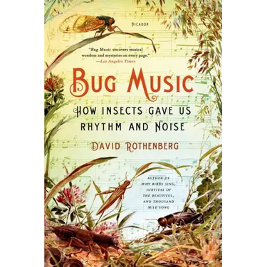 Bug Music