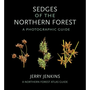 Sedges of the Northern Forest: A Photographic Guide