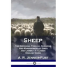 Sheep: The Breeding, Feeding, Shearing and Management of Ewes and Lambs - A Classic English Guide