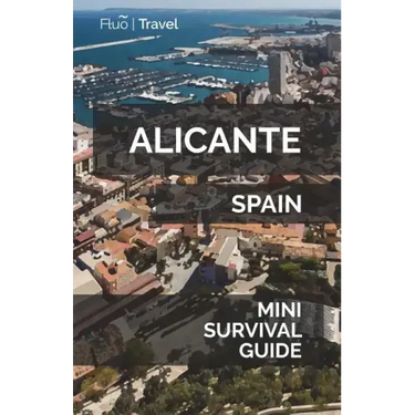 Alicante Mini Survival Guide