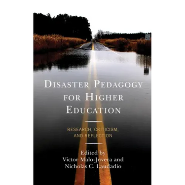Disaster Pedagogy for Higher Education: Research, Criticism, and Reflection