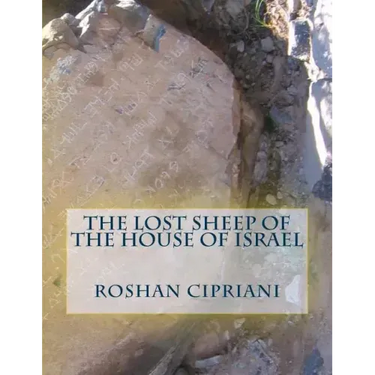 The Lost Sheep Of The House Of Israel