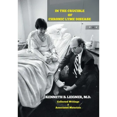 In the Crucible of Chronic Lyme Disease: Collected Writings & Associated Materials