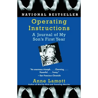Operating Instructions: A Journal of My Son's First Year