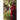Songs of Dzogchen Trekchö: A detailed commentary on Shabkar's Flight of the Garuda