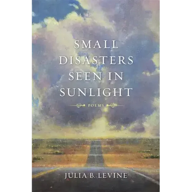 Small Disasters Seen in Sunlight