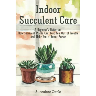 Indoor Succulent Care: A Beginner's Guide on How Succulent Plants Can Keep You Out of Trouble and Make You a Better Person