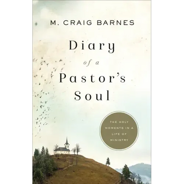 Diary of a Pastor's Soul