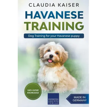 Havanese Training: Dog Training for Your Havanese Puppy