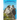 Over Blue Aegean Waters: A Fifty Year Romance with the Greek Island of Skopelos