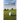 EFT and Golf: The New Mental Game Manual