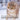 The Book of Beautiful Cats & Kittens: Picture Book For Seniors With Dementia (Alzheimer's)