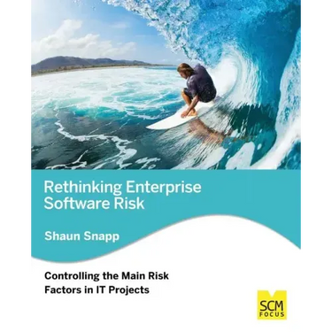 Rethinking Enterprise Software Risk: Controlling the Main Risk Factors on It Projects