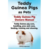Teddy Guinea Pigs as Pets. Teddy Guinea Pig Owners Manual. Teddy Guinea pig care, handling, pros and cons, feeding, training and showing.