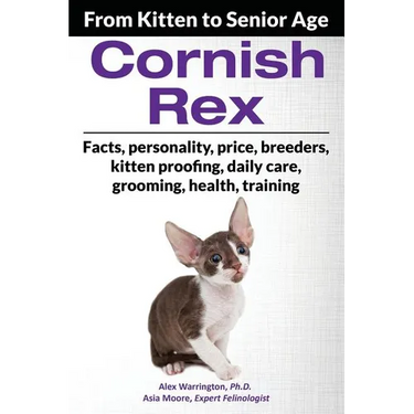 Cornish Rex: From Kitten to Senior Age