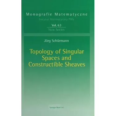 Topology of Singular Spaces and Constructible Sheaves