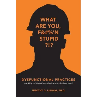 Dysfunctional Practices: that kill your Safety Culture (and what to do about them)