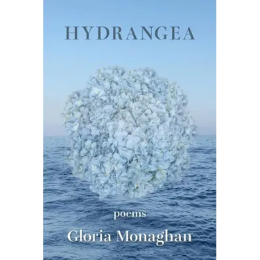 Hydrangea