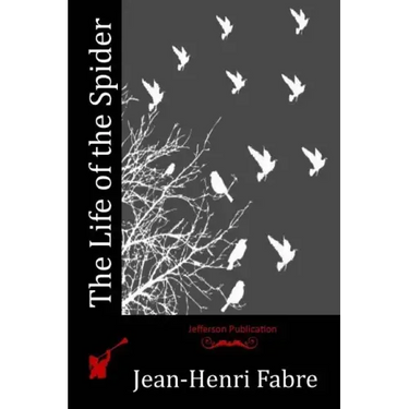 The Life of the Spider