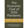 The Economic Cost of 2020 Pandemic: Overview of socio-economic Impact of COVID-19 and lessons from Past Pandemics