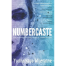 Numbercaste