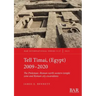Tell Timai, (Egypt) 2009-2020: The Ptolemaic-Roman north western temple zone and Roman city excavations