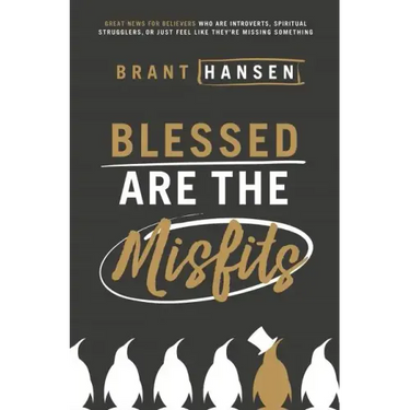Blessed Are the Misfits: Great News for Believers Who Are Introverts, Spiritual Strugglers, or Just Feel Like They're Missing Something