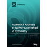 Numerical Analysis or Numerical Method in Symmetry