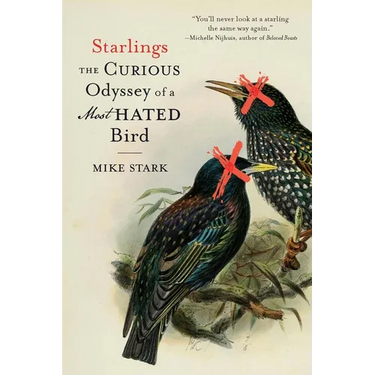 Starlings: The Curious Odyssey of a Most Hated Bird