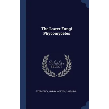 The Lower Fungi Phycomycetes