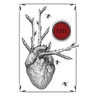 Thirteen: Stories of Transformation
