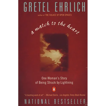 A Match to the Heart: One Woman's Story of Being Struck By Lightning