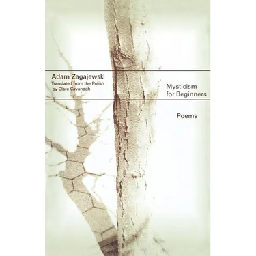 Mysticism for Beginners: Poems