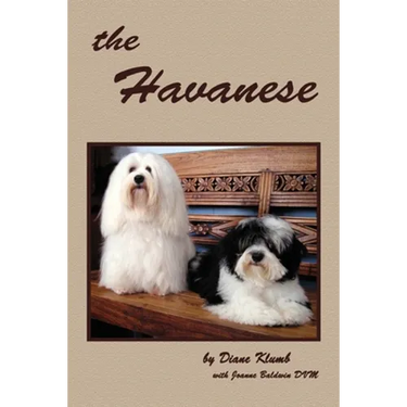 The Havanese