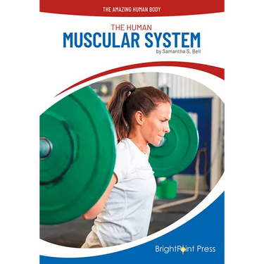 The Human Muscular System