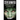 Immortal Zombie