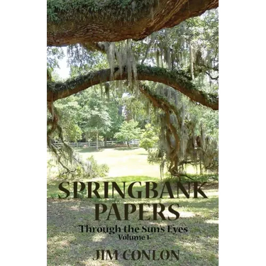 Springbank Papers: Through the Sun's Eyes