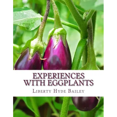 Experiences With Eggplants