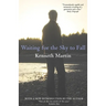 Waiting for the Sky to Fall