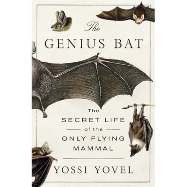 The Genius Bat: The Secret Life of the Only Flying Mammal