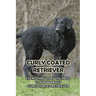 Curly Coated Retriever: Everything That You Need to Know About Curly Coated Retriever: How Well You Know ABout Curly Coated Retriever?