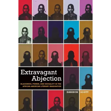 Extravagant Abjection: Blackness, Power, and Sexuality in the African American Literary Imagination