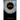 Model Organism