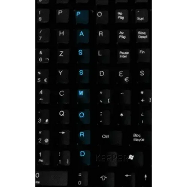 Password Keeper: Password Reminder Book (Keyboard Cover)