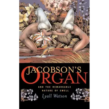 Jacobson's Organ: And the Remarkable Nature of Smell