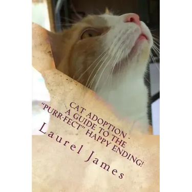 Cat Adoption - Your Guide to the "Purr-Fect" Happy Ending!