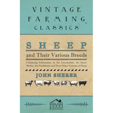 Sheep and Their Various Breeds - Containing Information on the Lincolnshire, the Saxon Merino, the Southdown and Many Other Varieties of Sheep