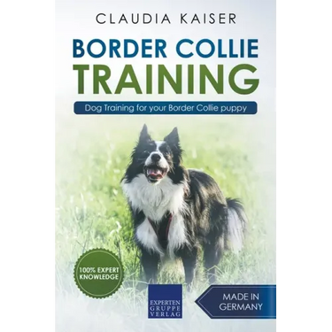 Border Collie Training - Dog Training for your Border Collie puppy