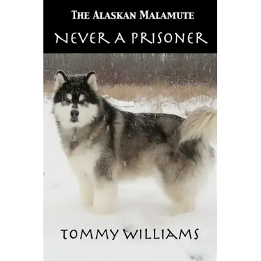 The Alaskan Malamute: Never A Prisoner